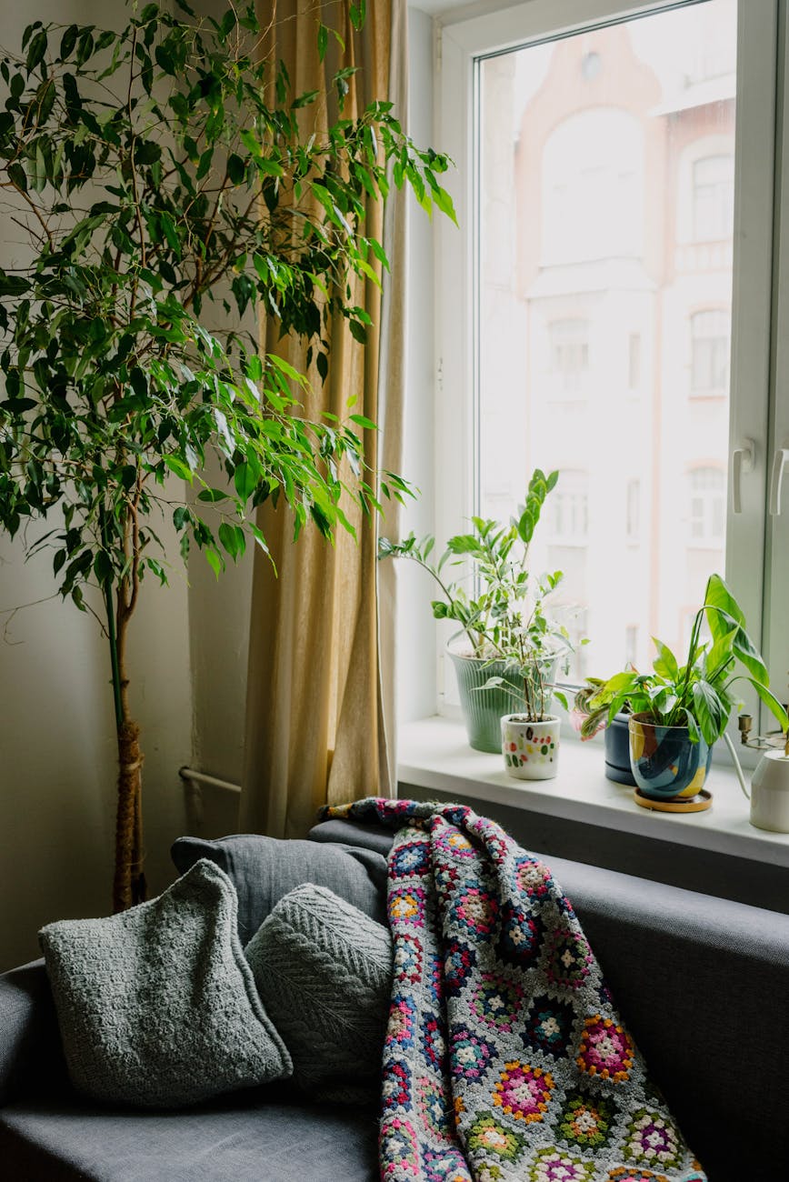 A cozy living room with a sofa, plants and soft daylight — evoking the peace of mind that comes with a safety reserve